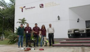 gobtam_337_1775068026144.jpg
