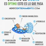 ▷ Fases del sueño: guía completa de cómo descansa tu cerebro