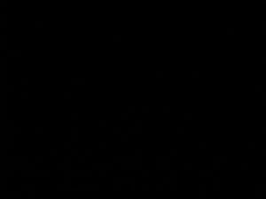 upload_1788203699207.jpg