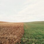 Nestlé invierte 12 millones en agricultura regenerativa con 500 agricultores españoles para descarbonizar su cadena